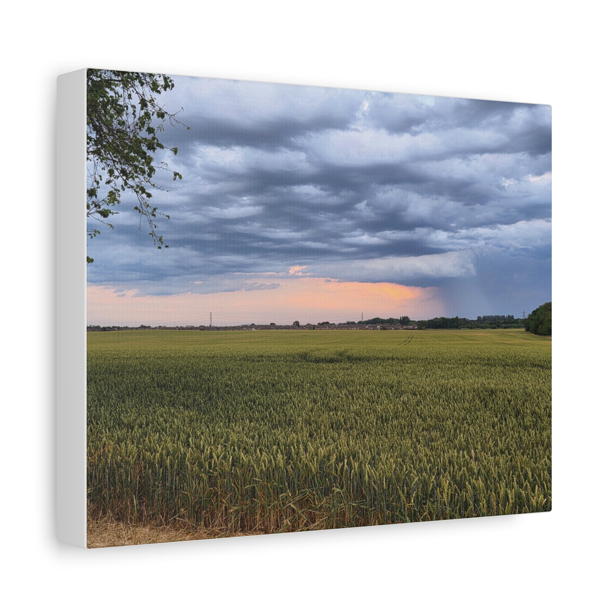 Storm Of The Century Canvas Print — Matte Stretched Wall Art