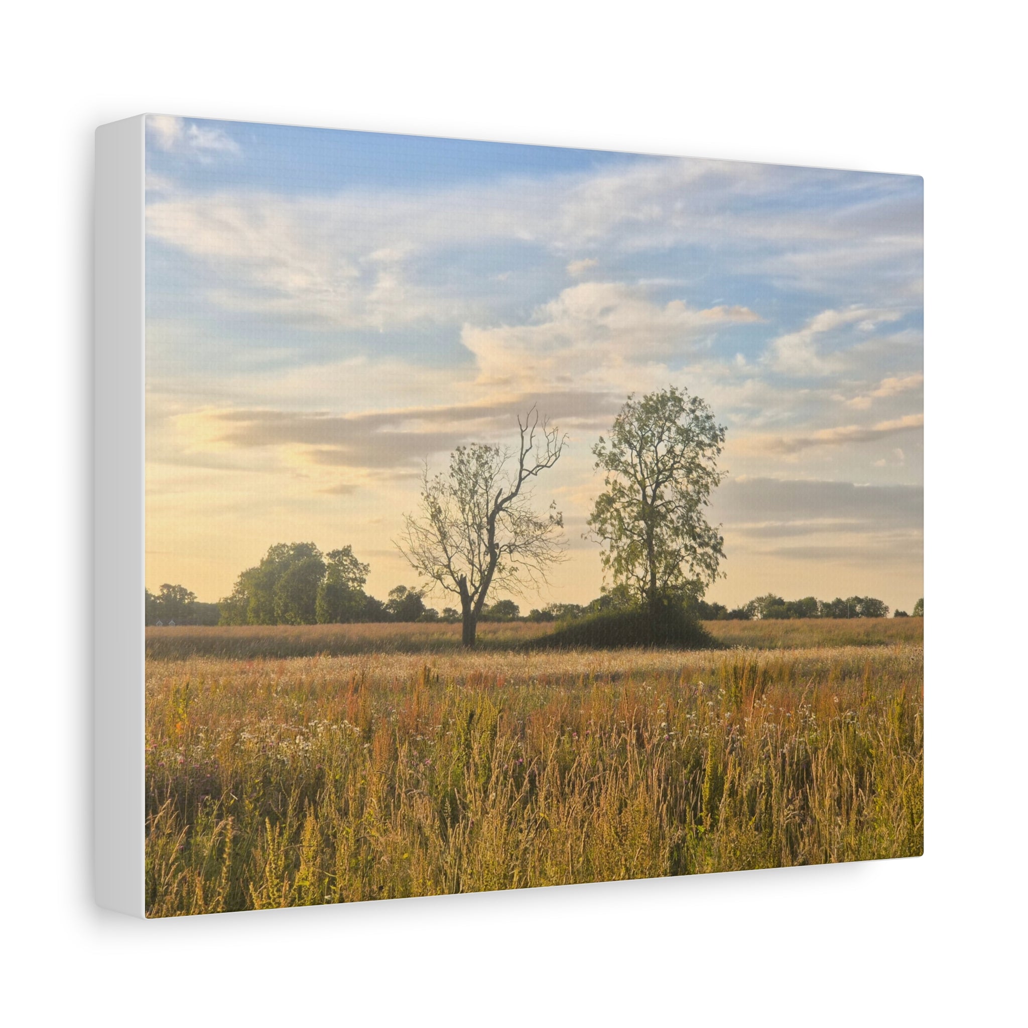 Golden Prairie Landscape Canvas — Matte Stretched Wall Art