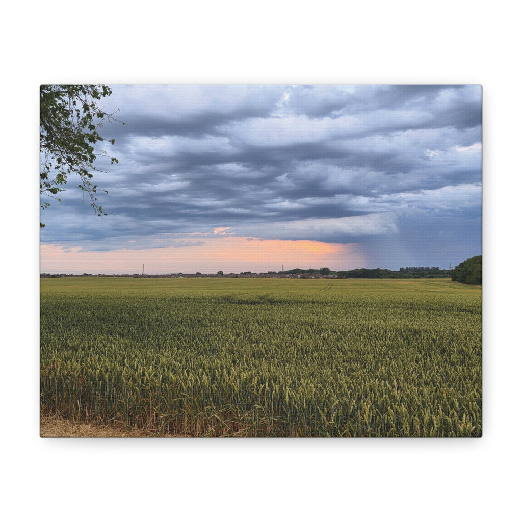 Storm Of The Century Canvas Print — Matte Stretched Wall Art