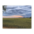 Storm Of The Century Canvas Print — Matte Stretched Wall Art