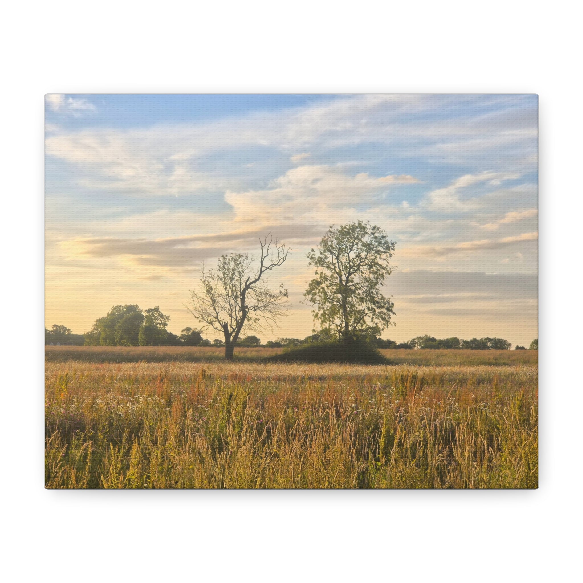 Golden Prairie Landscape Canvas — Matte Stretched Wall Art